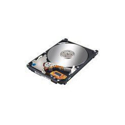 IBM 73,4GB 10K 2,5 INCH SAS HDD (26K5655)