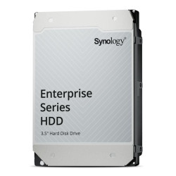 Synology Internal Hard Drive 12 Tb 