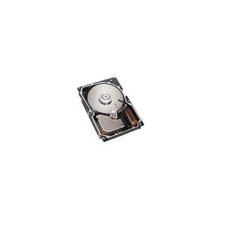 IBM 73GB SAS 10K RPM 2,5 HOTSWAP (40K1052)