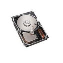IBM 73GB SAS 10K RPM 2,5 HOTSWAP (40K1052)