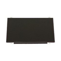 Dell JCGRY LCD Dispaly 14 Inch