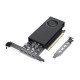 Lenovo Nvidia Rtx A400 4 Gb Gddr6 