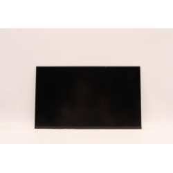 Lenovo DISPLAY FRU IN N140HCA-E5B C1 (5D10W89577)