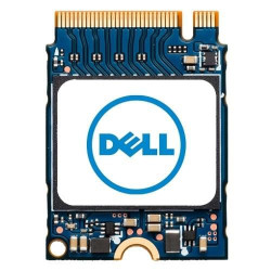 Dell M.2 PCIe NVME Class 35 2230 (W126326702)