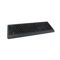 Lenovo Professional (4X30H56849)