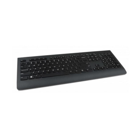 Lenovo Professional (4X30H56849)