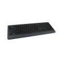 Lenovo Professional (4X30H56849)