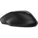 HP 255 Dual Wireless Mouse (8R3U1UT)