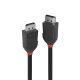 Lindy 1M Displayport 1.2 Cable Black Line (36491)
