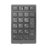 Lenovo Numeric Keypad Universal Rf 