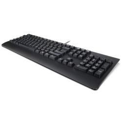 Lenovo DT_KYB USB TRDTNL KB BK SWE 