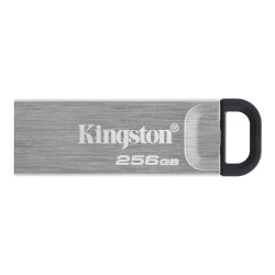 Kingston Technology DataTraveler Kyson (DTKN/256GB)