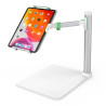 Belkin Belkin Tablet Stage Desk Stand for Tablet from 7 Inch to 12.9 Inch (EDC001)