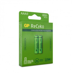 GP Batteries RECYKO 65AAAHCE-2WB2/AAA (201216)