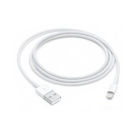 Apple Lightning to USB Cable (MQUE2ZM/A)