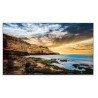 Samsung Moniteur QE55T 55 4K (LH55QETELGCX/EN)
