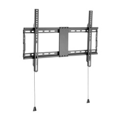 Vivolink Basic Large Wall Mount 