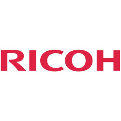 Ricoh Thermistor (M1334248)