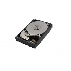 Toshiba 10TB Internal 3,5 SATA 6Gbps (MG06ACA10TE)