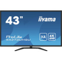 iiyama 43 UHD 