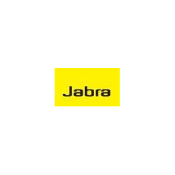 Jabra King Size Leatherette Cushion (0473-299)