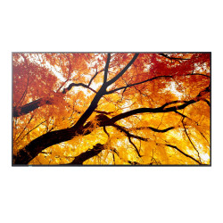 Sharp M502, 50 M-Series LFD, UHD 