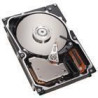 IBM 73Gb 15K 3.5 In SAS Hot Sw (40K1043)
