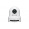 Sony COLOR VIDEO CAMERA (SRG-X400WC)