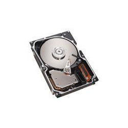 IBM 73GB hotswap 3.5inch 15K U320 (40K1027)