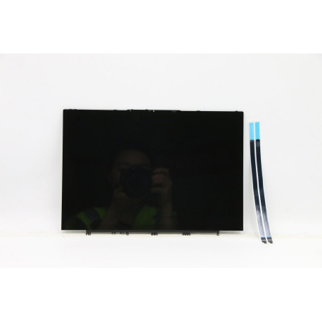Lenovo LCD Module L82FX W/glue*0.2g (5D10S39669)