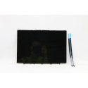 Lenovo LCD Module L82FX W/glue*0.2g (5D10S39669)