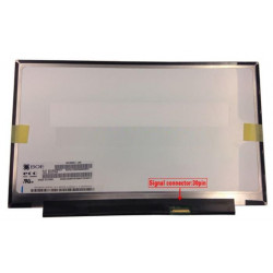 CoreParts 12,5 LCD HD Matte (MSC125H30-018M)