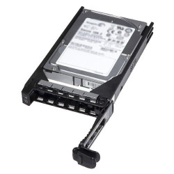 Dell 2Tb 7.2K Near Line 6Gbps SAS (829T8)