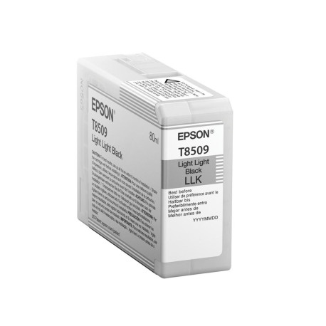  Epson Cartouche d'encre Noir(e) C13T850900 T8509 80ml