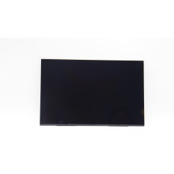 Lenovo 14.0-inch WUXGA LCD display 