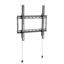 Vivolink Basic Medium Wall Mount (100 