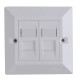 Lanview CAT6 Faceplate Dual Gang UK 