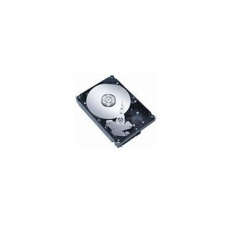 CoreParts 2.5 SATA Hotswap 1TB 7200RPM (SA1T2I838)