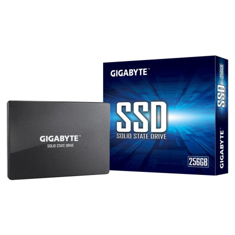 Gigabyte Internal Solid State Drive 