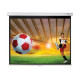 Optoma Projection Screen 2.13 m (DS-3084PWC)