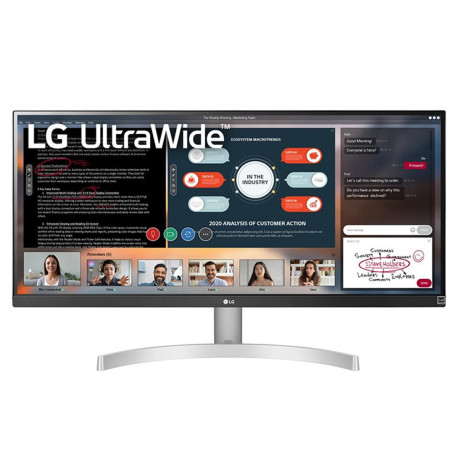 LG LED Monitor 29inch (29WN600-W)