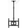 Ernitec Ceiling bracket for 1 monitor (0070-11000-1MON)