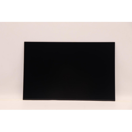 Lenovo DISPLAY FRU CSO MNG007JA1-4 