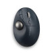 Kensington ProFit Ergo TB550 Trackball, 
