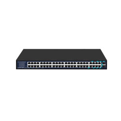 Lanview Unmanaged 48-Port RJ45 With 2 
