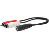 Vivolink 3.5MM Female to RCA Male (PROMJFRCAM0.2)