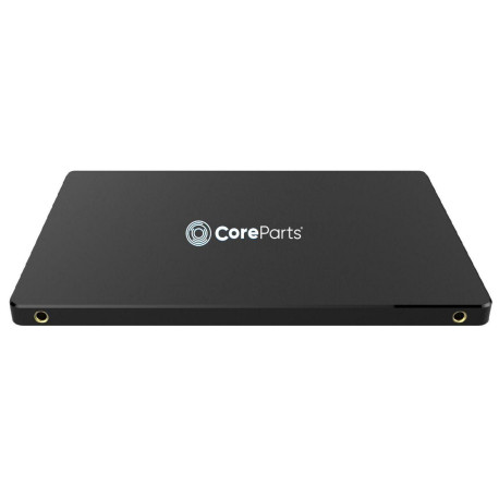 CoreParts Primary SSD 256GB (SSDM256I382)