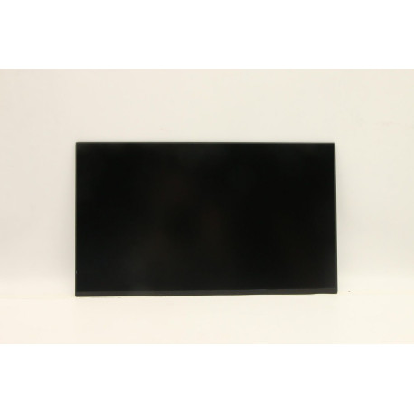 Dell LCD, Non Touch Screen, 19.5 (W125720719)