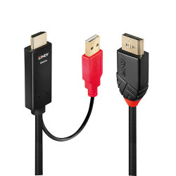 Lindy HDMI to DisplayPort AdapterCable. Black 1.0m (41425)