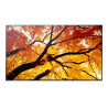 Sharp M652, 65 M-Series LFD, UHD 